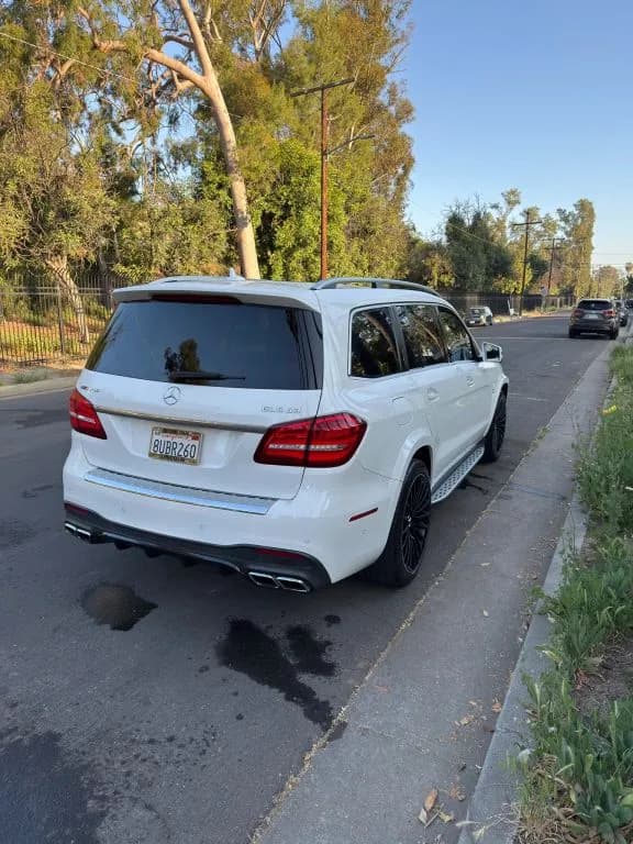 2017 Mercedes-Benz GLS-Class 6