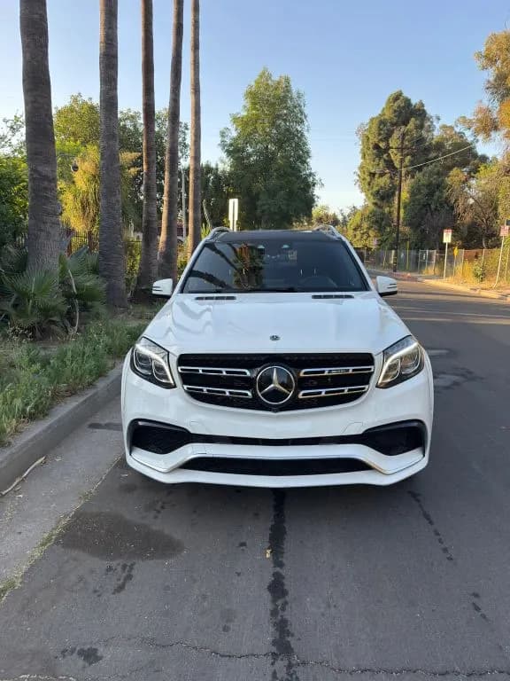 2017 Mercedes-Benz GLS-Class 2