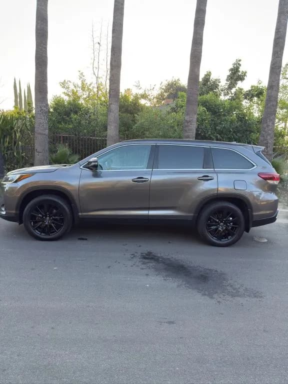 2019 Toyota Highlander SE - Photo 3
