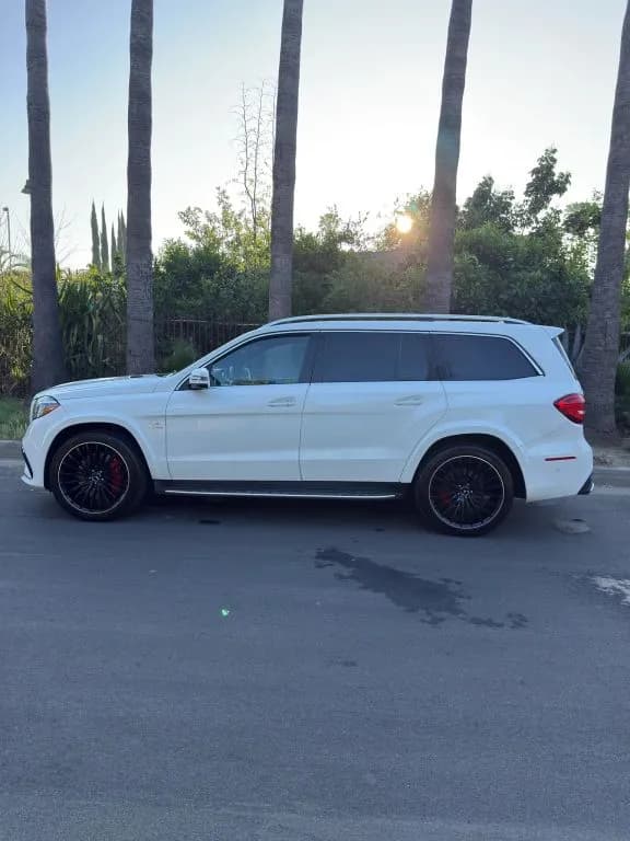 2017 Mercedes-Benz GLS-Class 4